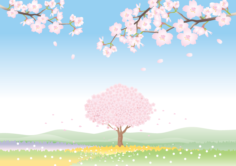 桜風景.png