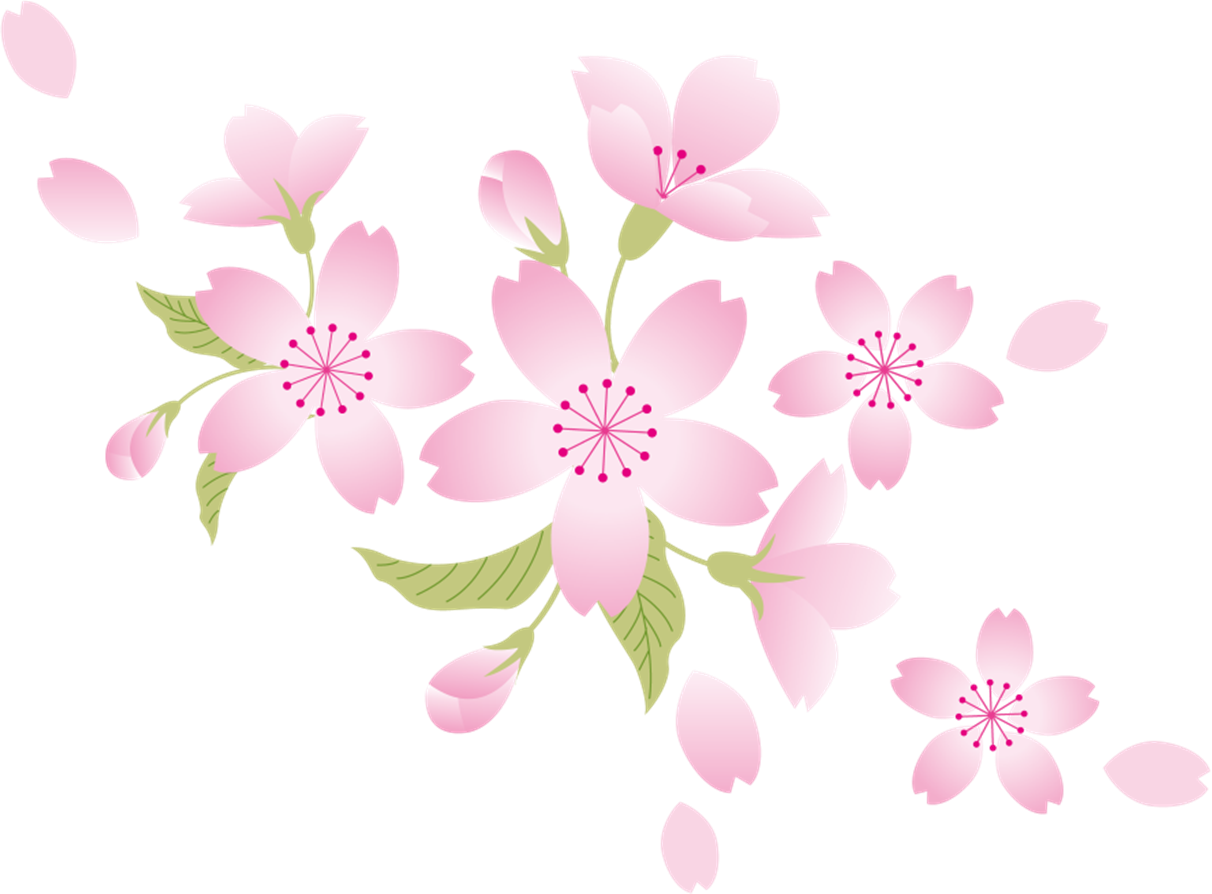 さくら.png