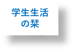 画像9.png