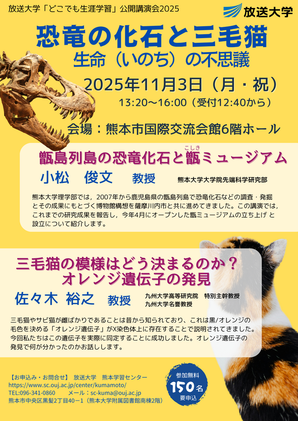DokodemoSite2025.png