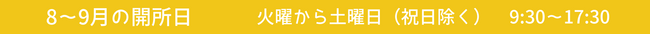 8-9Yellow.png