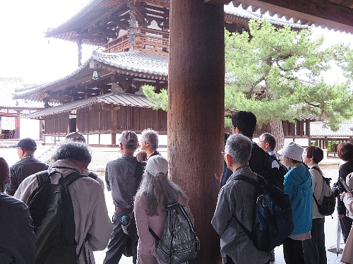 Sakai_250525_3.JPG