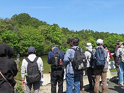 Imao_250427_1.JPG