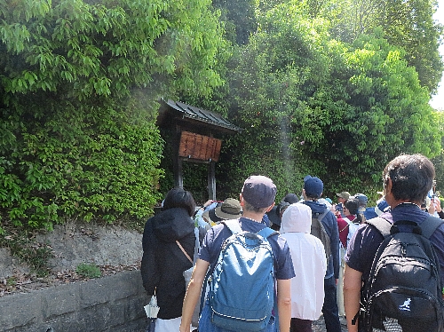 Imao_250427_33.JPG