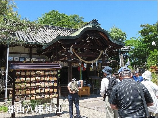 Hatakama_11