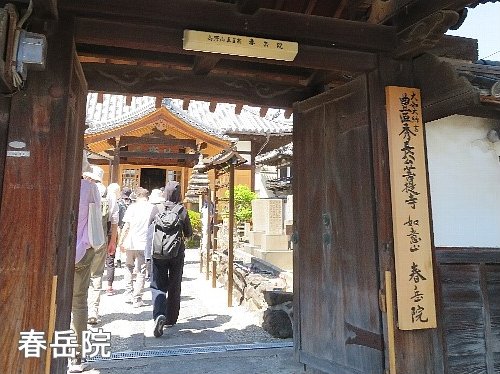 Hatakama_44
