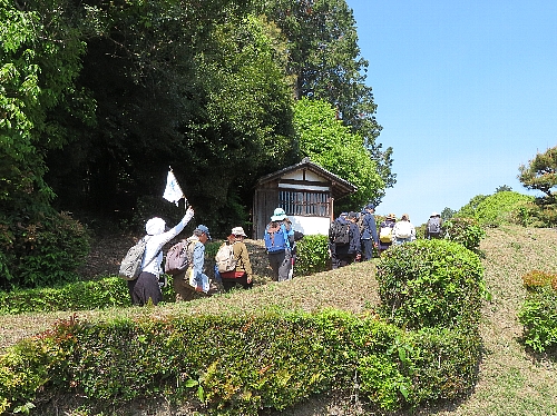 Imao_250427_22.JPG