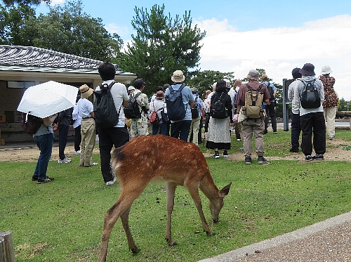 Setsuda_3