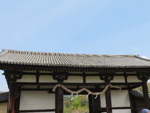 Sugimoto_250418_2.JPG