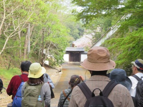 Sugimoto_250418_3.JPG