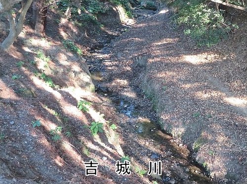 Yusa_3